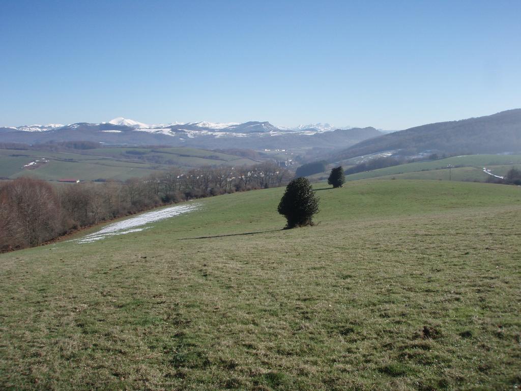 Casa Rural Irugoienea Espinal-Auzperri Dış mekan fotoğraf